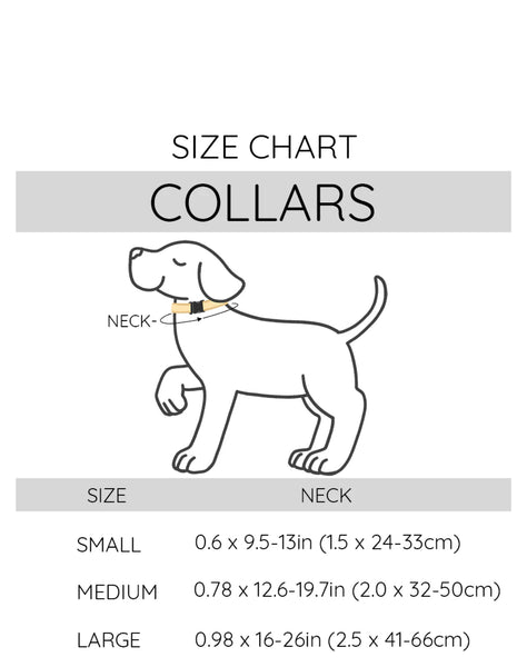 Wag Your Teal Dog Collar