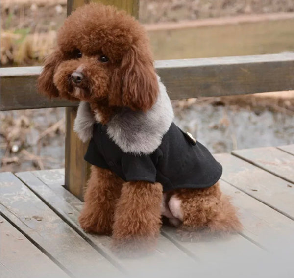 The Alex Peacoat for Dogs