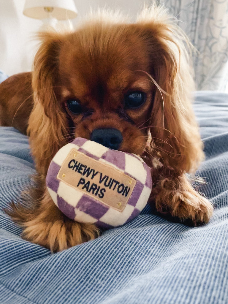 chewy vuitton dog toy ball