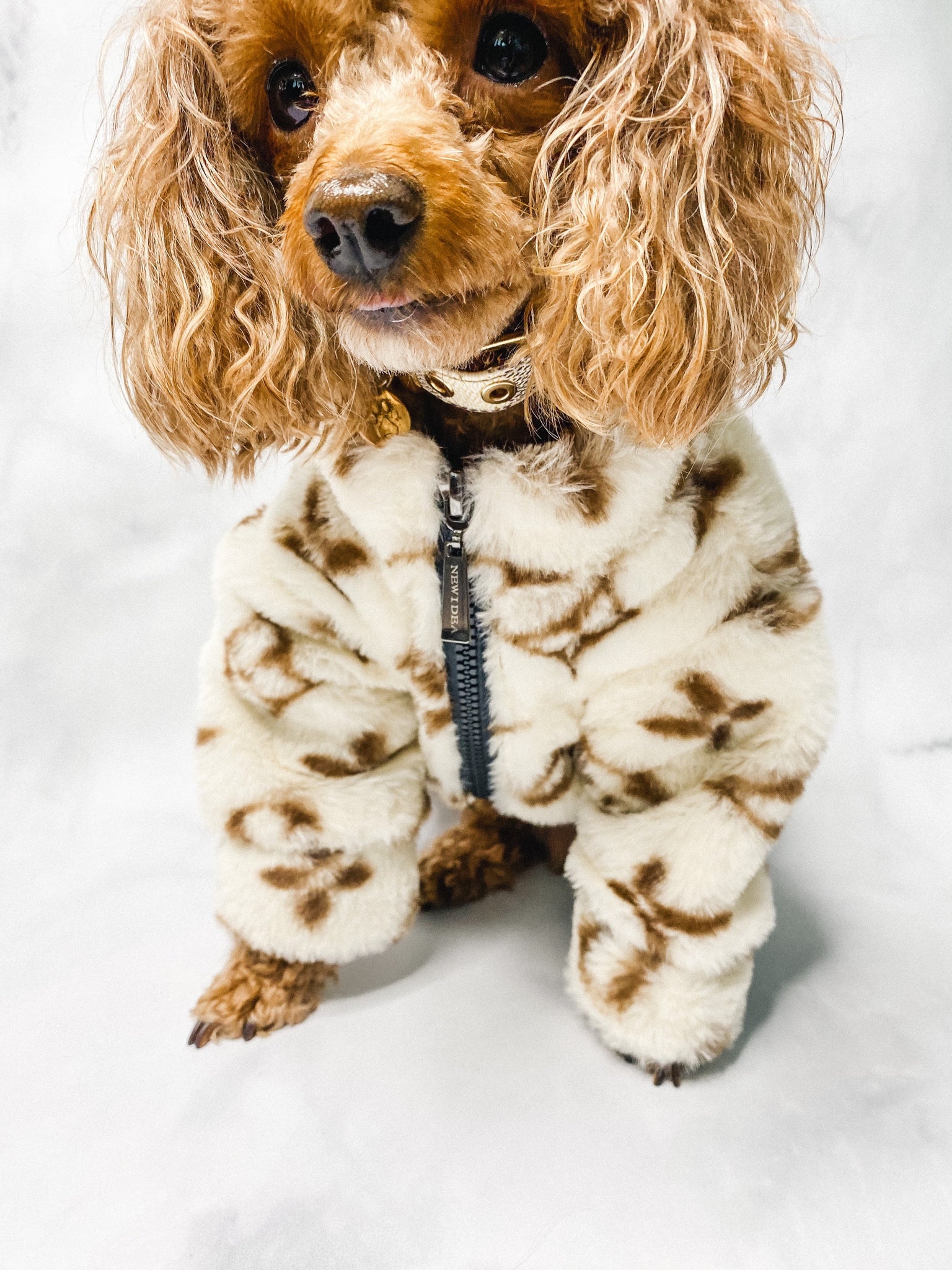 lv jacket for dogs