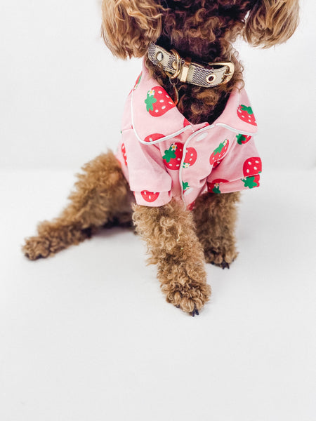 Strawberry Pajamas for dogs