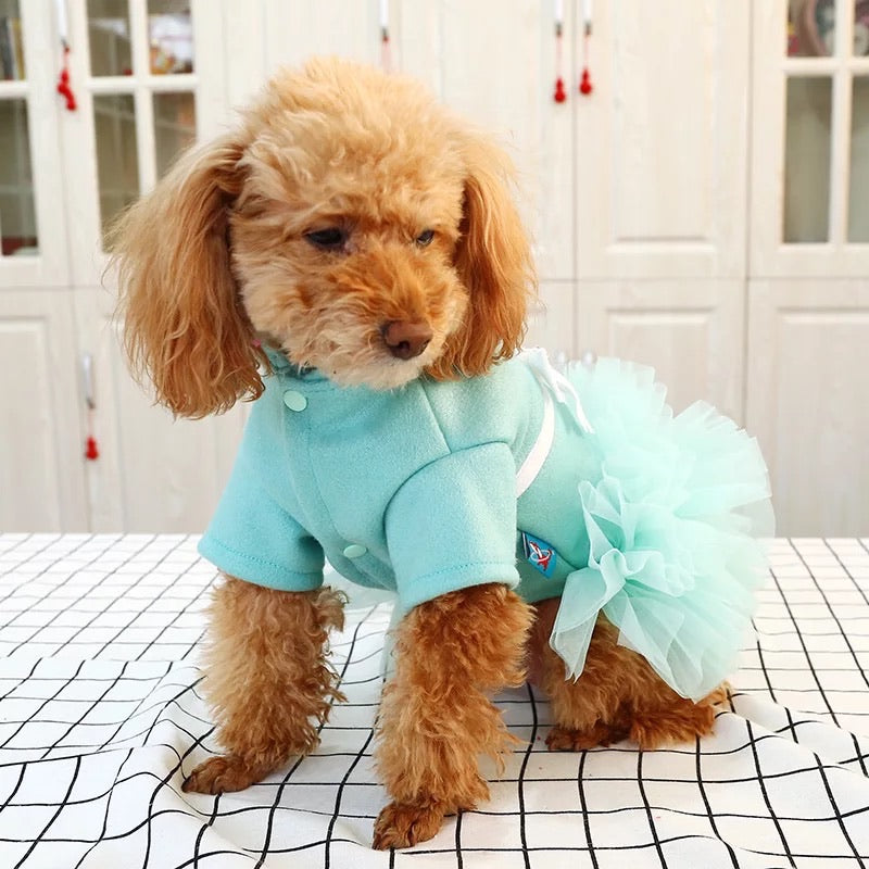 fashion nova puppy love dress Puppy Love Dress - Sage