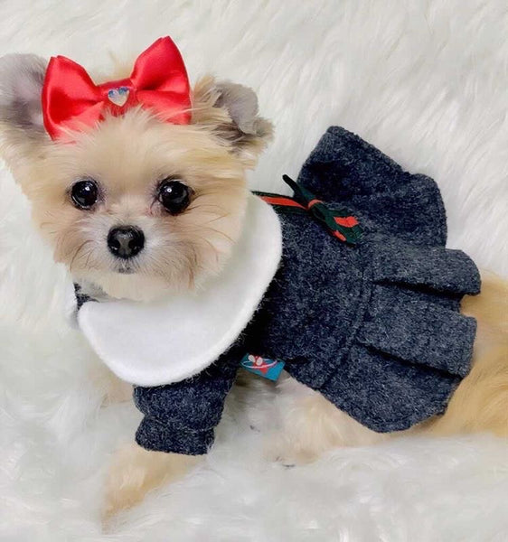 Pawcci Princess Dress for Dogs