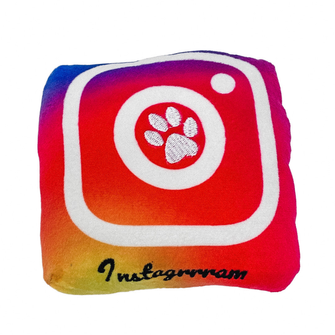 Instagrrram Dogfluencer Squeaky Toy for Dogs