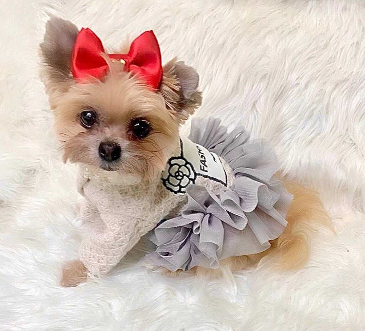 Fashion Paris Princess Dress for Dogs – Petit Pups Pawtique & More